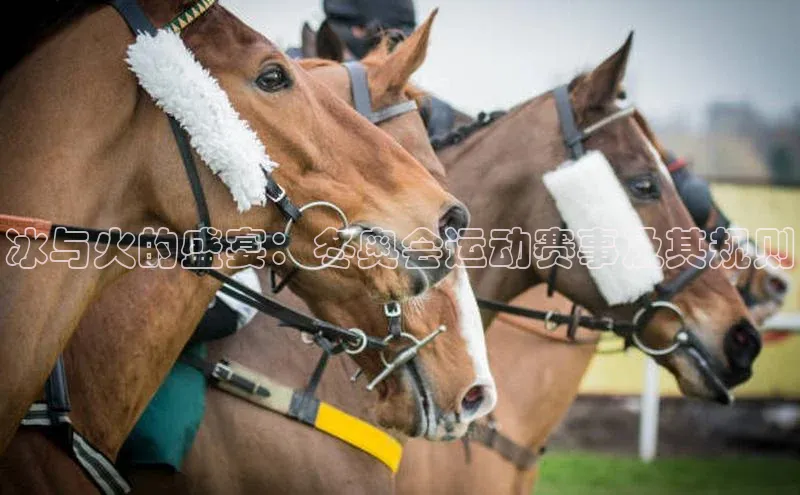 威廉希尔WilliamHill官方网站