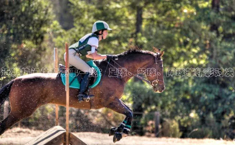 williamhill官网登录入口