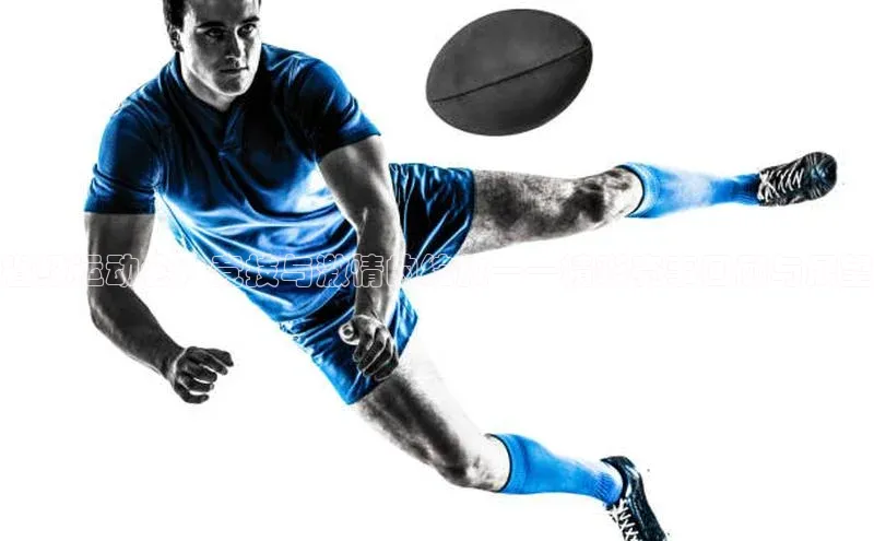 省级运动会：竞技与激情的绽放——精彩赛事回顾与展望